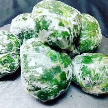 Frozen Spina ch (44)-1261731-33466.webp